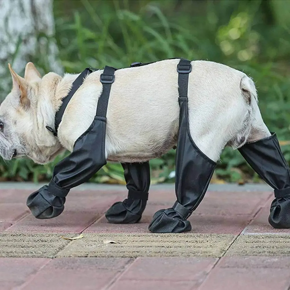 Anti-Slip Dog Shoes