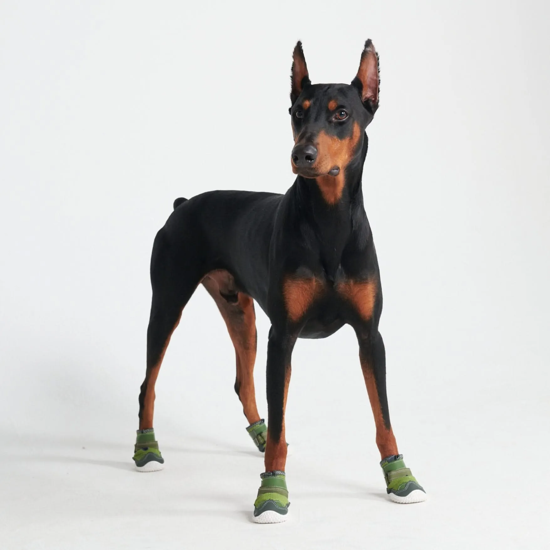 Hot Pavement Pawtector Dog Shoes - Green